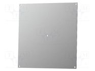 Mounting plate; steel; 2mm; PS442-7035; Series: Polysafe BOPLA