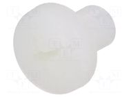 Screw; M10x16; Head: cheese head; Phillips; polyamide; ISO 7045 DREMEC