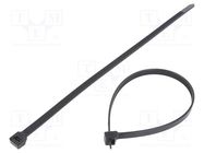 Cable tie; L: 290mm; W: 7.6mm; polyamide; 534N; black; Ømax: 76mm PANDUIT