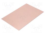 Laminate; FR4,epoxy resin; 1.6mm; L: 200mm; W: 300mm; double sided RADEMACHER