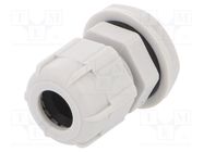 Cable gland; PG9; IP68; polyamide; light grey BM GROUP