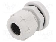 Cable gland; PG16; IP68; polyamide; light grey BM GROUP