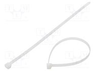 Cable tie; L: 300mm; W: 7.6mm; polyamide; 550N; natural; Ømax: 83mm BM GROUP