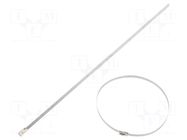 Cable tie; L: 300mm; W: 4.6mm; stainless steel AISI 304; 890N BM GROUP