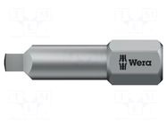 Screwdriver bit; square; RB2; 1/4"; Overall len: 25mm WERA