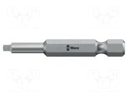 Screwdriver bit; square; RB1; Overall len: 50mm; BiTorsion WERA