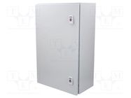 Enclosure: wall mounting; X: 380mm; Y: 600mm; Z: 210mm; AX; IP66; IK10 RITTAL