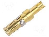 connector 172704-0155 MOLEX