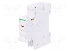 Shunt release; for DIN rail mounting; 12÷24VAC; 12÷24VDC SCHNEIDER ELECTRIC