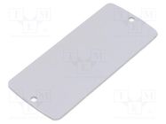 Front panel; aluminium; W: 36.9mm; L: 85.8mm; Thk: 2mm TEKO