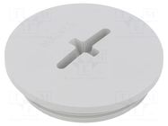 Stopper; M40; 1.5; IP56; polyamide; light grey; Thread: metric; 8mm BM GROUP