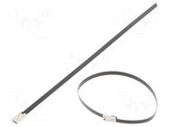 Cable tie; L: 200mm; W: 4.6mm; stainless steel AISI 304; 450N BM GROUP
