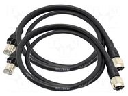 Test lead; 2pcs. TREND NETWORKS