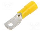 Tip: ring tube; M6; Ø: 6.3mm; 25mm2; crimped; for cable; insulated BM GROUP