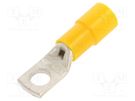 Tip: ring tube; M8; Ø: 8.4mm; 25mm2; crimped; for cable; insulated BM GROUP