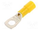 Tip: ring tube; M10; Ø: 10.5mm; 25mm2; crimped; for cable; insulated BM GROUP