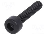 Screw; M3x14; 0.5; Head: cheese head; hex key; HEX 2.5mm; steel BOSSARD