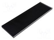 Heatsink: extruded; grilled; black; L: 1000mm; W: 300mm; H: 40mm SEIFERT ELECTRONIC