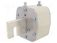 Fuse: fuse; 500A; 690VAC; aM; ceramic; NH4 DF ELECTRIC