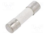 Fuse: fuse; quick blow; 1A; 250VAC; ceramic; 5x20mm; brass; FCD; bulk OPTIFUSE