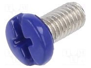 Screw; M3x6; 0.5; Head: cheese head; Phillips,slotted; brass; blue KEYSTONE