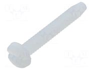 Screw; UNC4-40x19.05; Head: cheese head; slotted; polyamide KEYSTONE