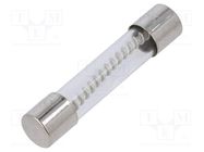 Fuse: fuse; time-lag; 12A; 32/250VAC; glass; 6.3x32mm; brass; TSA OPTIFUSE