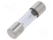 Fuse: fuse; 10A; 250VAC; time-lag; glass; 5x20mm; TSC; brass; bulk OPTIFUSE