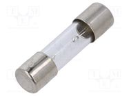 Fuse: fuse; time-lag; 3A; 250VAC; glass; 5x20mm; brass; TSC; bulk 