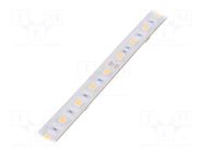LED tape; white warm; 5050; LED/m: 60; 10mm; white PCB; IP65; 120° IPIXEL LED
