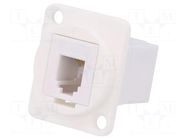 Coupler; FT; 4p4c; RJ9 socket,both sides; 19x24mm; plastic CLIFF