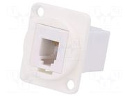 Coupler; FT; 4p4c; RJ9 socket,both sides; 19x24mm; plastic CLIFF