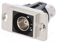 Coupler; BNC socket,both sides; 75Ω; DUALSLIM; silver; metal; 29mm CLIFF