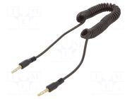 Cable; Jack 3.5mm 3pin plug,both sides; Leng.after stretch: 2m GEMBIRD