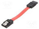 Cable: SATA; SATA plug,both sides; 0.1m; SATA III; red; Cablexpert GEMBIRD