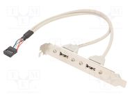 Transition: adapter; USB A socket x2,10pin pin header; 0.25m GEMBIRD