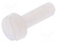 Screw; M3x10; 0.5; Head: cheese head; slotted; 0.9mm; polyamide DREMEC