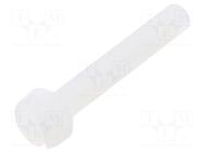 Screw; M3x20; 0.5; Head: cheese head; slotted; 0.9mm; polyamide DREMEC