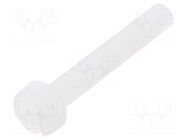 Screw; M3x20; 0.5; Head: cheese head; slotted; 0.9mm; polyamide DREMEC