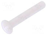 Screw; M3x20; 0.5; Head: countersunk; slotted; 1mm; polyamide; 8G202 DREMEC