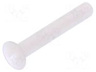 Screw; M3x20; 0.5; Head: countersunk; slotted; 1mm; polyamide; 8G202 DREMEC