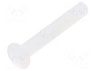 Screw; M3x20; 0.5; Head: oval,countersunk; slotted; 1mm; polyamide DREMEC