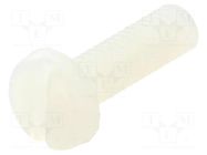 Screw; M3x10; 0.5; Head: cheese head; slotted; 0.9mm; polyamide DREMEC