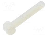 Screw; M3x20; 0.5; Head: cheese head; slotted; 0.9mm; polyamide DREMEC