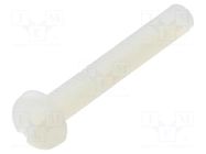 Screw; M3x20; 0.5; Head: cheese head; slotted; 0.9mm; polyamide DREMEC