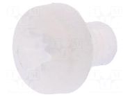 Screw; M3x4; 0.5; Head: cheese head; Pozidriv; 0.8mm; polyamide DREMEC