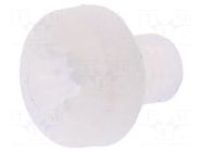 Screw; M3x4; 0.5; Head: cheese head; Pozidriv; 0.8mm; polyamide DREMEC
