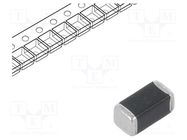 Varistor: metal-oxide; SMD; 1206; 25VAC; 31VDC; 1J; 200A; 65V; 8mW EPCOS