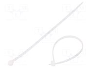 Cable tie; L: 120mm; W: 2.5mm; natural; polyamide; 80N; Ømax: 27mm BM GROUP