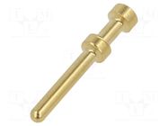 Contact; male; gold-plated; 0.75÷1mm2; turned contacts; crimped LAPP